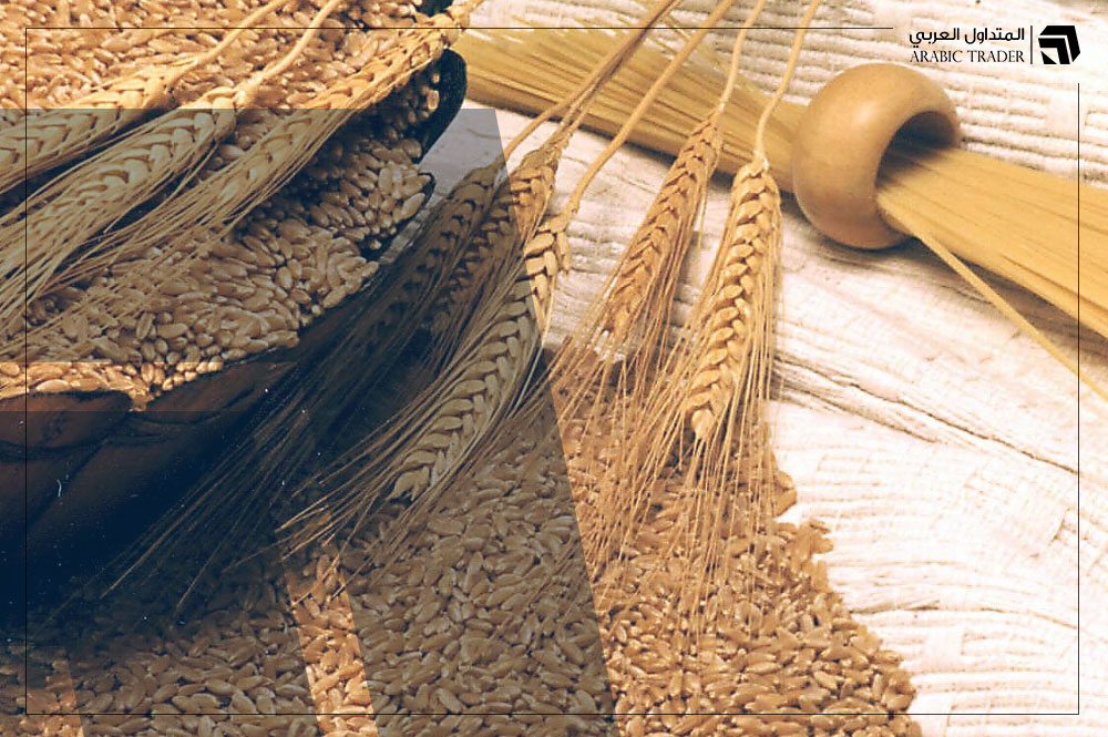 أوكرانيا تعلن تمديد اتفاق الحبوب وسعر القمح ينخفض فور الإعلان!