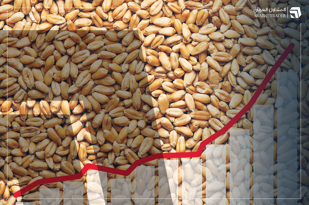 مصر تعزز مخزوناتها الاستراتيجية من القمح