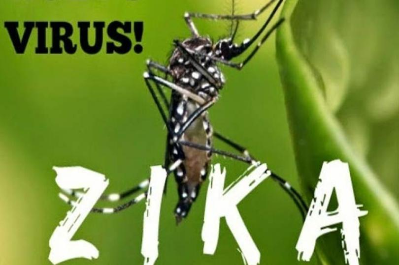 ماذا تعرف عن فيروس زيكا؟