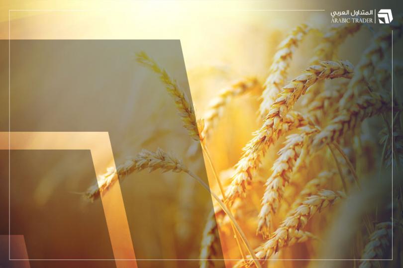السعودية تعتزم استيراد نحو 480 ألف طن من القمح