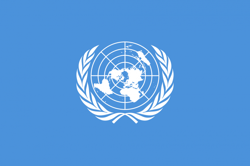 الأمم المتحدة، أكبر منظمات العالم