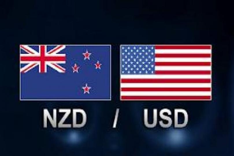 النيوزلندي دولار يسجل المزيد من التراجع