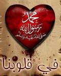 ������ ������� SamehKing