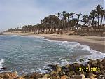 ������ ������� ayman_sinai