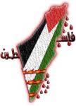 ������ ������� abo--faress