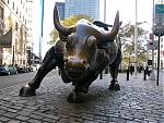 ������ ������� EGYPT-EVEREX-FOREX