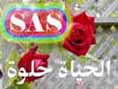 ������ ������� Samir A