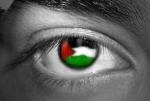  Freedom For Gaza