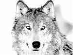 ������ ������� FOREX`s Wolf
