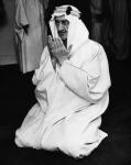 ������ ������� mohamedsous