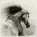 ������ ������� Sultan4X
