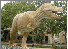������ ������� T-REX